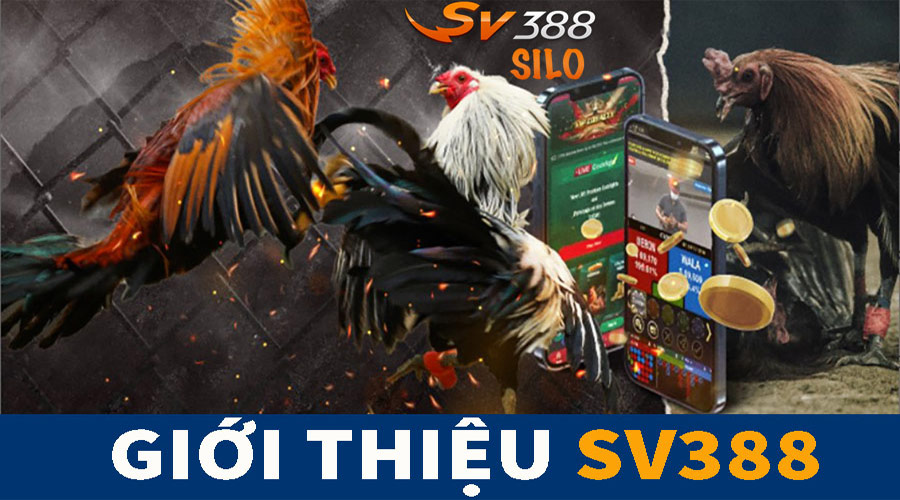 sảnh sv388